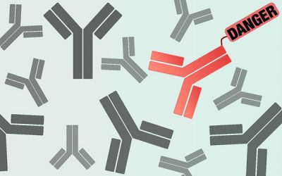 Antibody identifier could speed development of therapies for cancer, other diseases