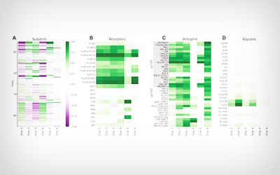 UCLA Researchers Develop Improved Computational Model to Analyze Antibody Patterns