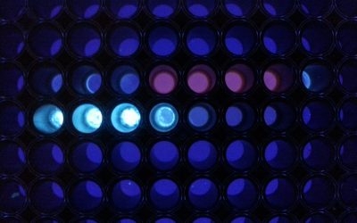UCLA researchers develop method to speed up detection of infectious diseases, cancer