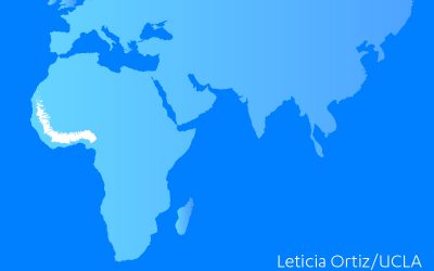 Ghost DNA Study by UCLA Computer Scientists Featured by CNN, BBC, NPR, The New York Times, Newsweek and Others