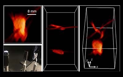 Bug Eyes and Bat Sonar: UCLA Bioengineers Turn to Animal Kingdom for Creation of Bionic Super 3D Cameras