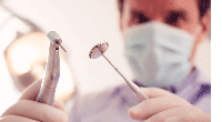 Drilling into the secrets of teeth