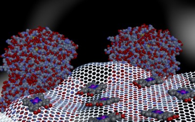 Researchers Create Coating Material to Prevent Blood Clots Associated with Implanted Devices
