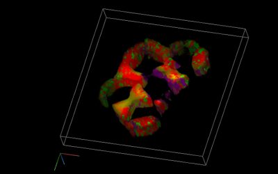 New Medical 3D Imaging Technique Shows Microscopic Cell Detail in Real Time