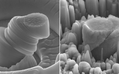 UCLA Researchers Create Super-Strong, Lightweight New Metal