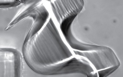 New 3-D Printing Method Creates Complex Micro Objects
