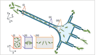 Microalgae separation takes shape