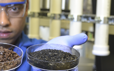 A Cleaner Water Supply Thanks to Waste Materials and Fungi