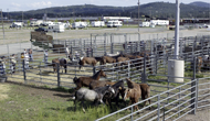 Could portable treatment centers fix rural America’s water problems?
