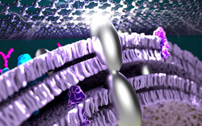 Researchers Infuse Bacteria with Silver to Improve Power Efficiency in Fuel Cells