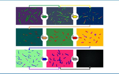 Synthetic Genes Engineered to Mimic How Cells Build Tissues and Structures