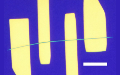 Researchers Discover How to Dampen Electronic Noise in Materials with Potential for Quantum Technologies