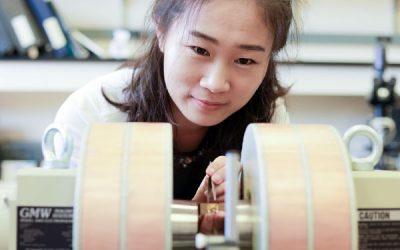 Algorithm accurately predicts how electromagnetic waves and magnetic materials interact